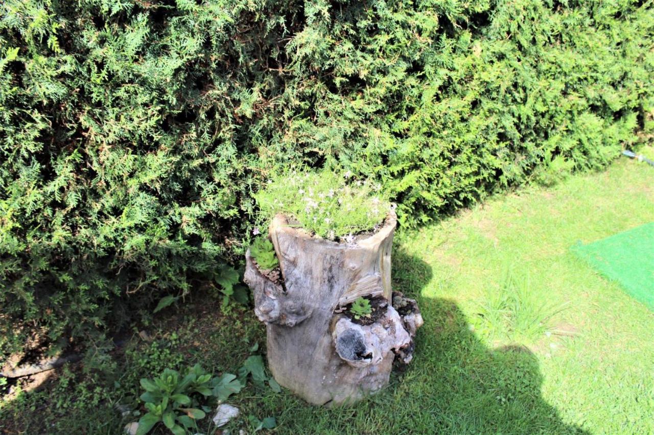 Guest House Brezata - Betula Glavatartsi Buitenkant foto